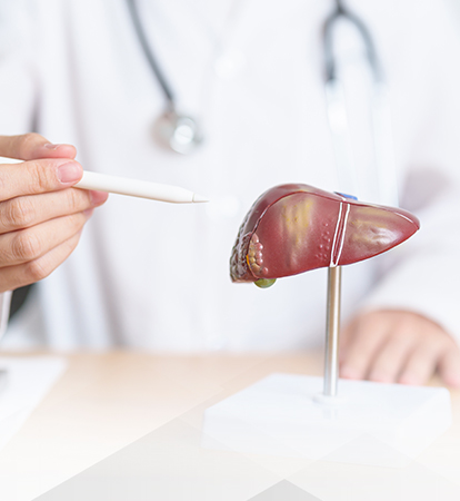 Liver Transplant: Indications, Procedure, and Recovery