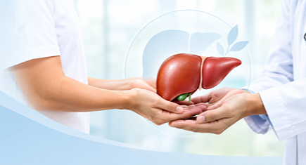 Living Liver Donor Transplant: Could You Be a Match?