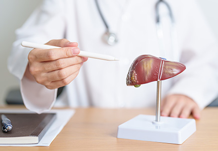 Liver Transplant: Indications, Procedure, and Recovery