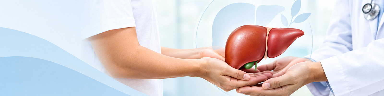 Living Liver Donor Transplant: Could You Be a Match?
